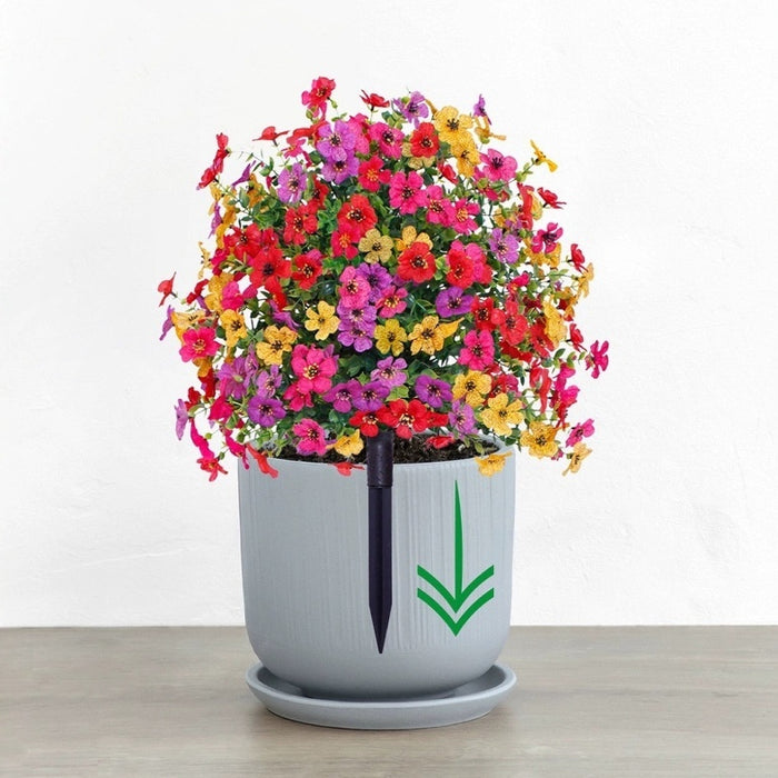 Eucalyptus Violet Floor Outlet Garden Green Plant
