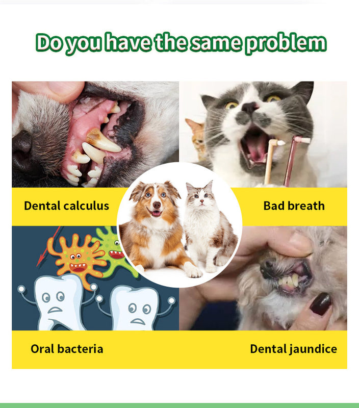 Teeth Cleaning Powder Oral Cleaning Smelly Dog Edible Teeth Cleaning Stone Tooth Cleaning Powder