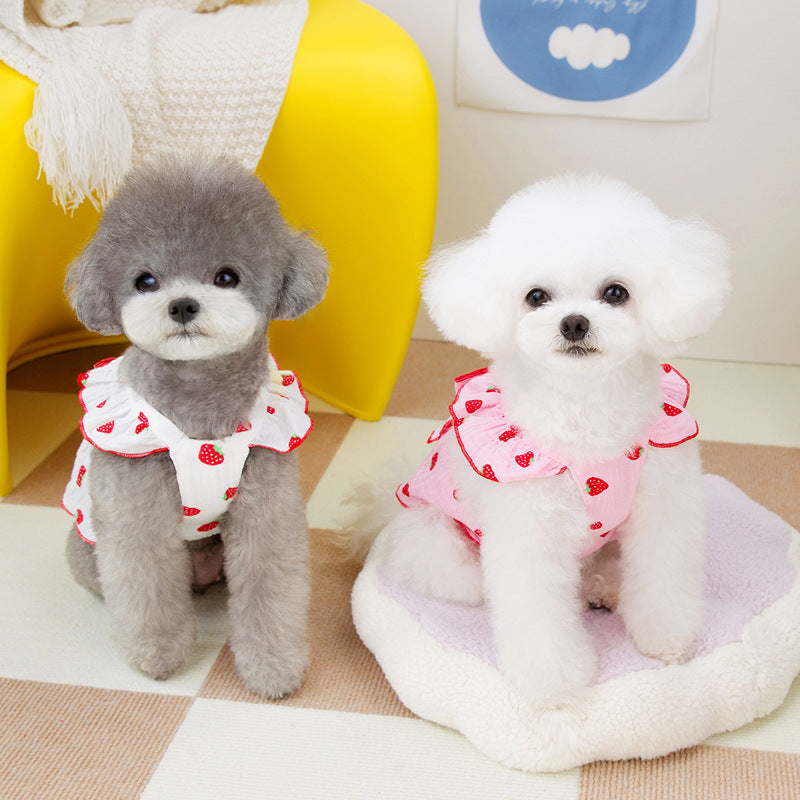Vestido de Princesa Floral para Cão Primavera e Verão