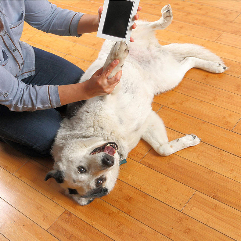Álbum de fotos comemorativo para crianças e animais de estimação, cartão postal para esfregar impressões digitais, suprimentos para animais de estimação faça você mesmo