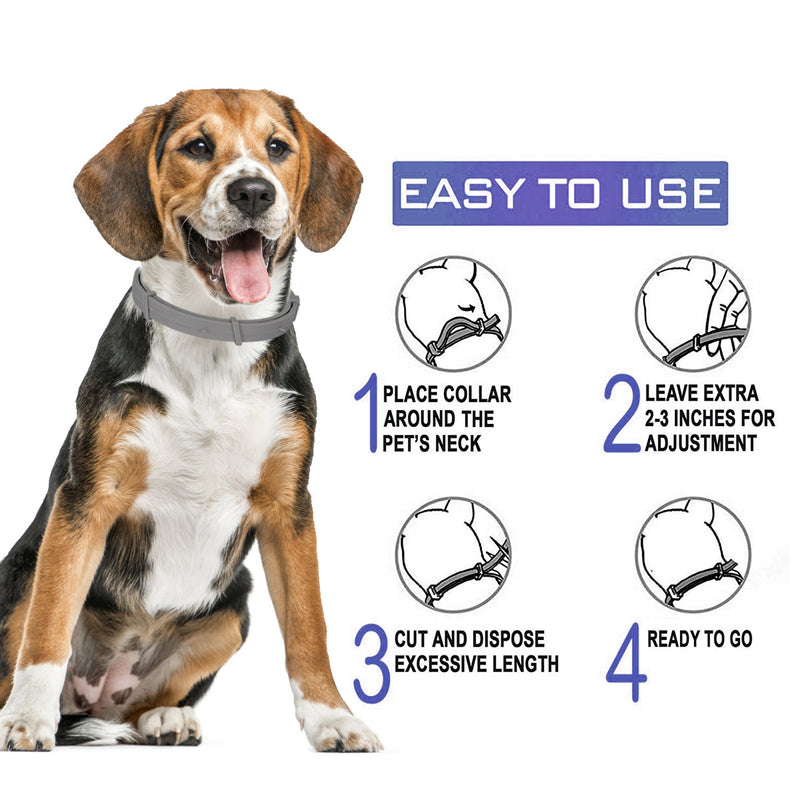 Coleiras para cão e gato para eliminar pulgas e repelir mosquitos