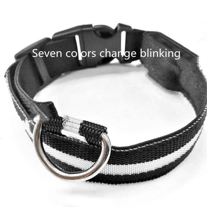 Leuchtendes Anti-Verlust-Hundemarken-Halsband