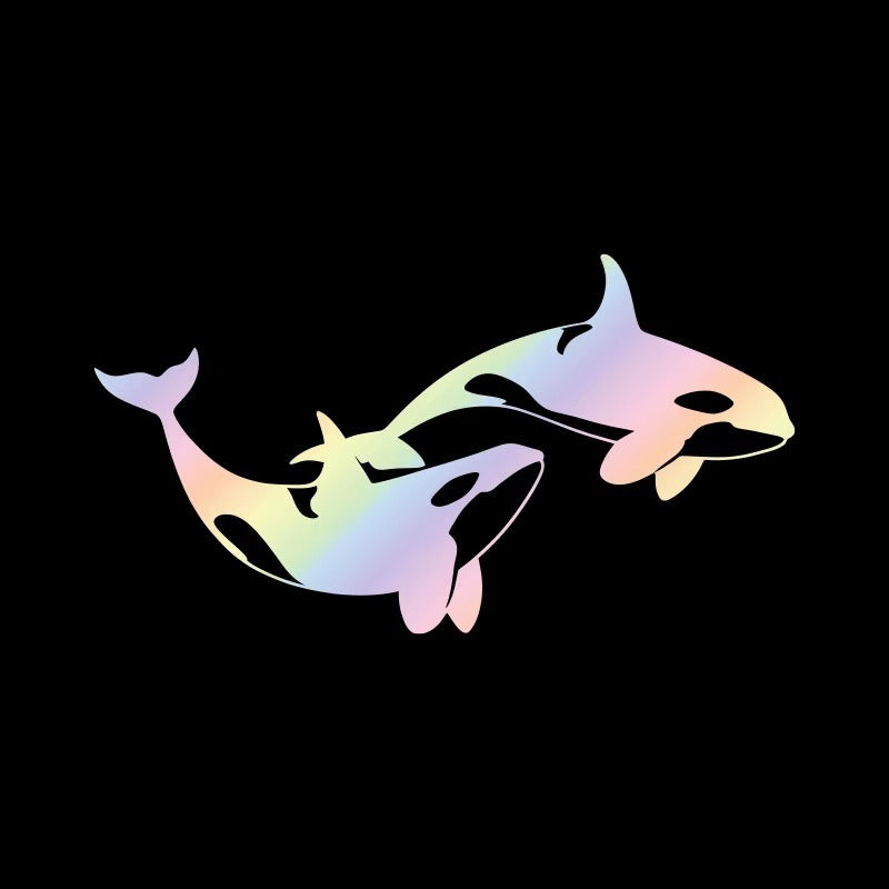 Orca Car Window And Rear Bumper Decorative Sticker