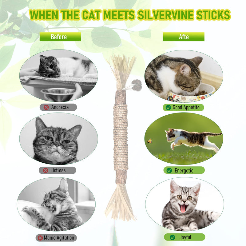 Varas de Silvervine Brinquedos de Roer para Gatos de Interior Cuidados Dentários Limpeza de Dentes, Brinquedos de Roer Naturais para Gatinhos e Gatos para a Saúde, Vara de Roer para Gatos Adequada para Todas as Raças de Gatos que Roem de Forma Agressiva