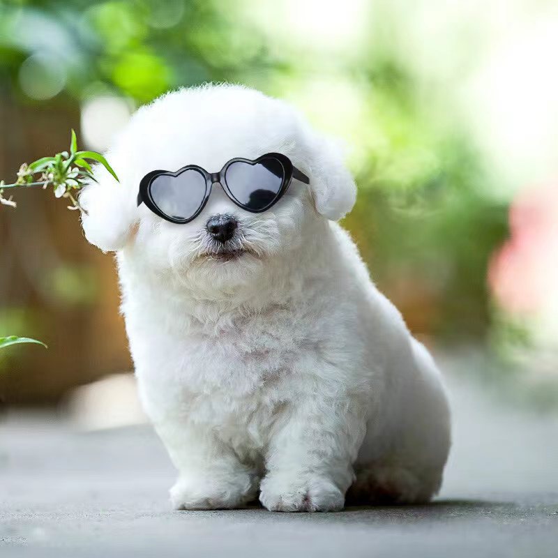 Puppen Sonnenbrille Haustierspielzeug Zubehör