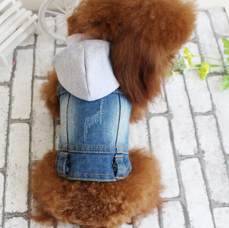 Casaco de ganga para cão, roupa de designer para cão pequeno, fato de gato, colete de ganga para cachorro, roupa de primavera