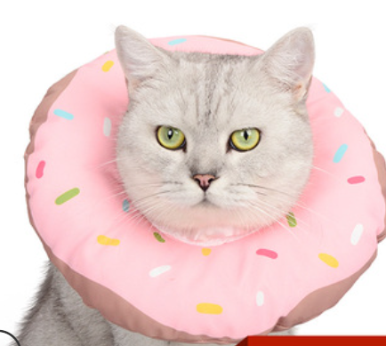 Colar Isabelino Anti-mordida para Esterilização, Anti-lamedura e Brinquedo para Gato