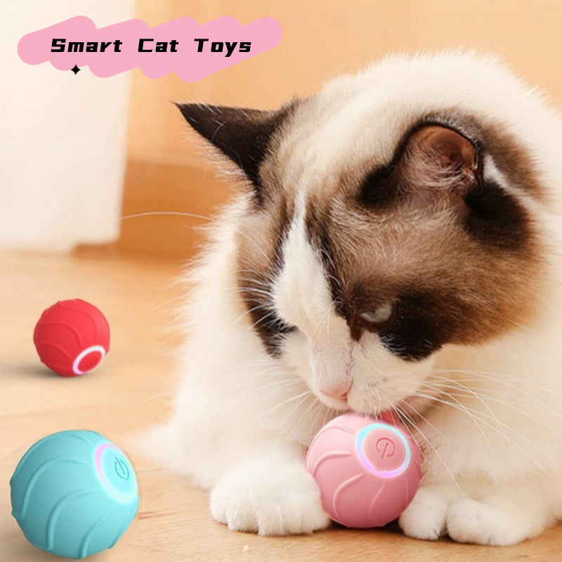 Gato inteligente brinquedos bola de rolamento pet gato proprietário interativo animais de estimação brinquedos automático saltando bola usb auto oi provocando gatinhos pulando bola