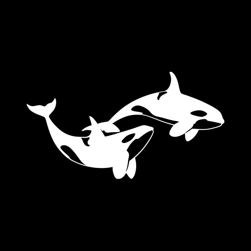Orca Car Window And Rear Bumper Decorative Sticker