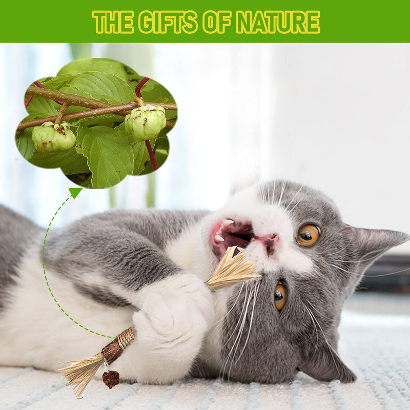 Varas de Silvervine Brinquedos de Roer para Gatos de Interior Cuidados Dentários Limpeza de Dentes, Brinquedos de Roer Naturais para Gatinhos e Gatos para a Saúde, Vara de Roer para Gatos Adequada para Todas as Raças de Gatos que Roem de Forma Agressiva