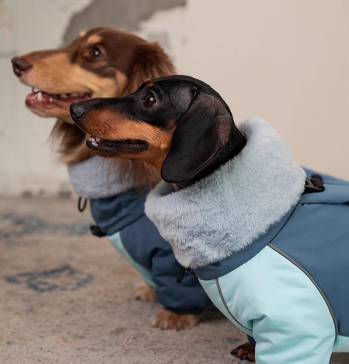 Casaco acolchoado de algodão quente e grosso de quatro patas para Dachshund para outono e inverno