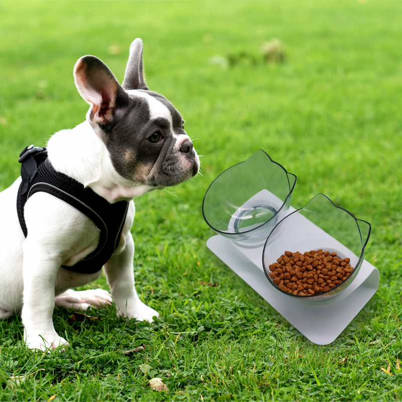 Tigela para gatinhos, suporte cervical para animais de estimação, bacia de alimentação para alimentos