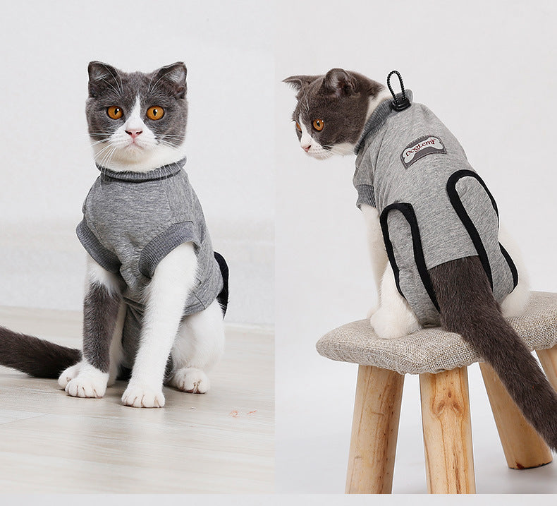 Fato de recuperação pós-cirúrgica para gatos, vestuário de proteção para feridas e esterilização, artigos e acessórios para animais de estimação