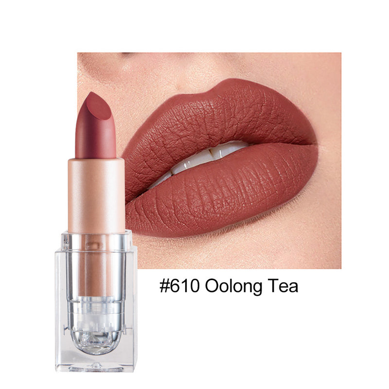 Kleiner Eiswürfel Matte 12-Farben-Lippenstift