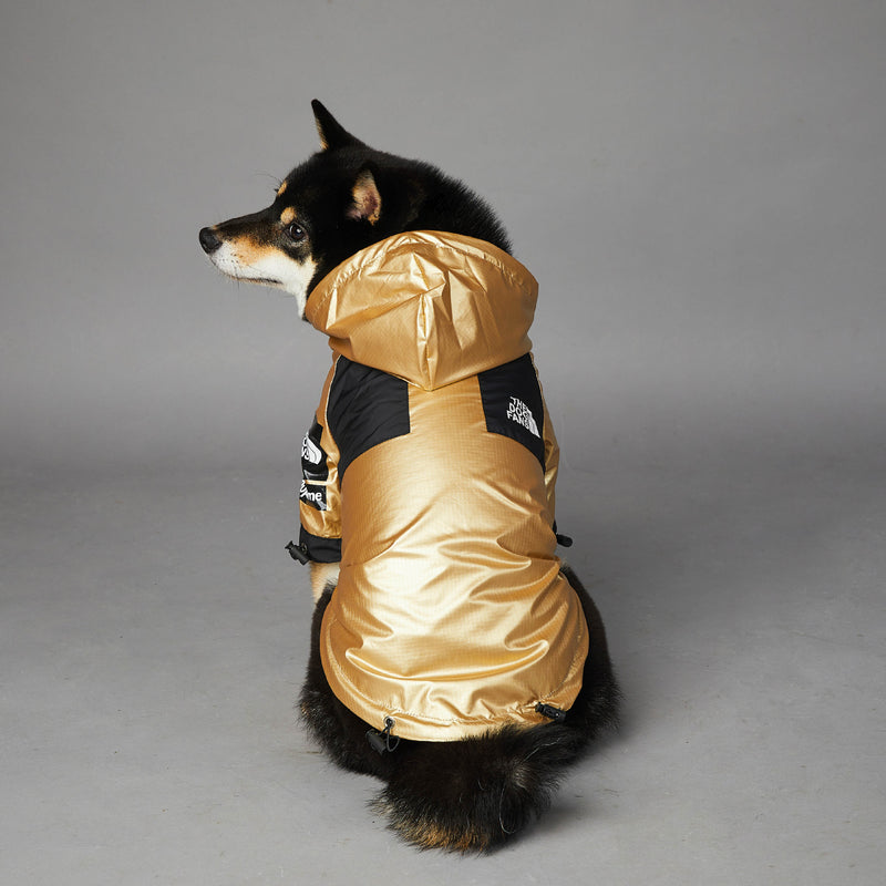 Capa de Chuva para Cão de Porte Grande Casaco para Animal de Estimação