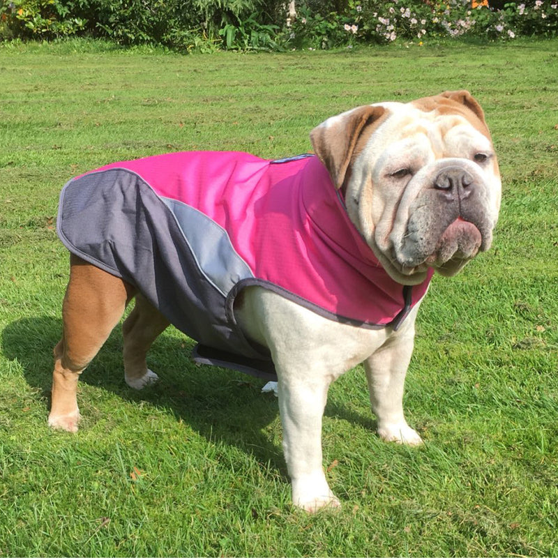 Wasserdichter Outdoor-Poncho für Haustiere