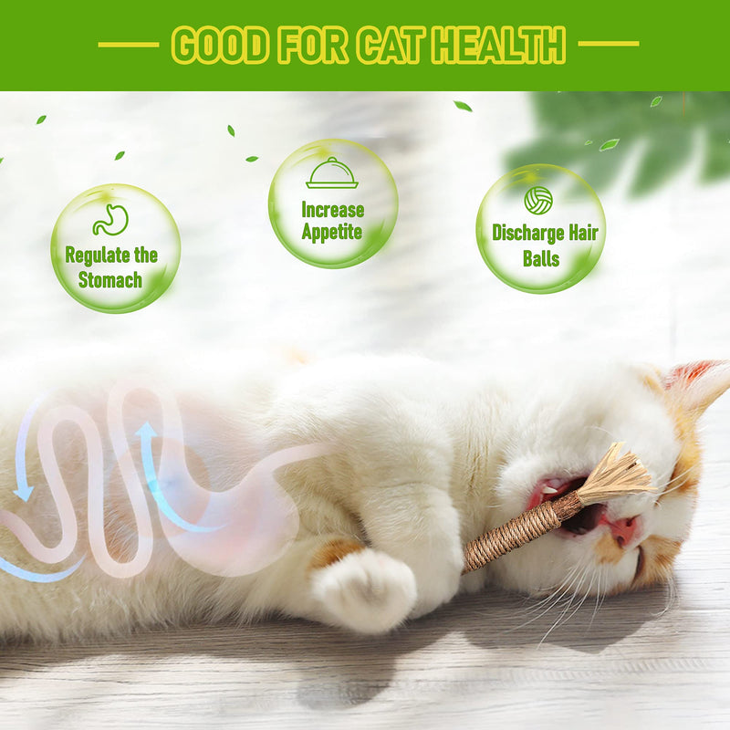 Varas de Silvervine Brinquedos de Roer para Gatos de Interior Cuidados Dentários Limpeza de Dentes, Brinquedos de Roer Naturais para Gatinhos e Gatos para a Saúde, Vara de Roer para Gatos Adequada para Todas as Raças de Gatos que Roem de Forma Agressiva