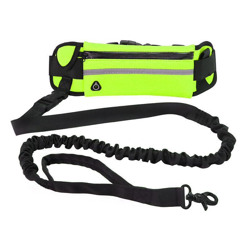 Trela de Bolsa para Passeio de Cão