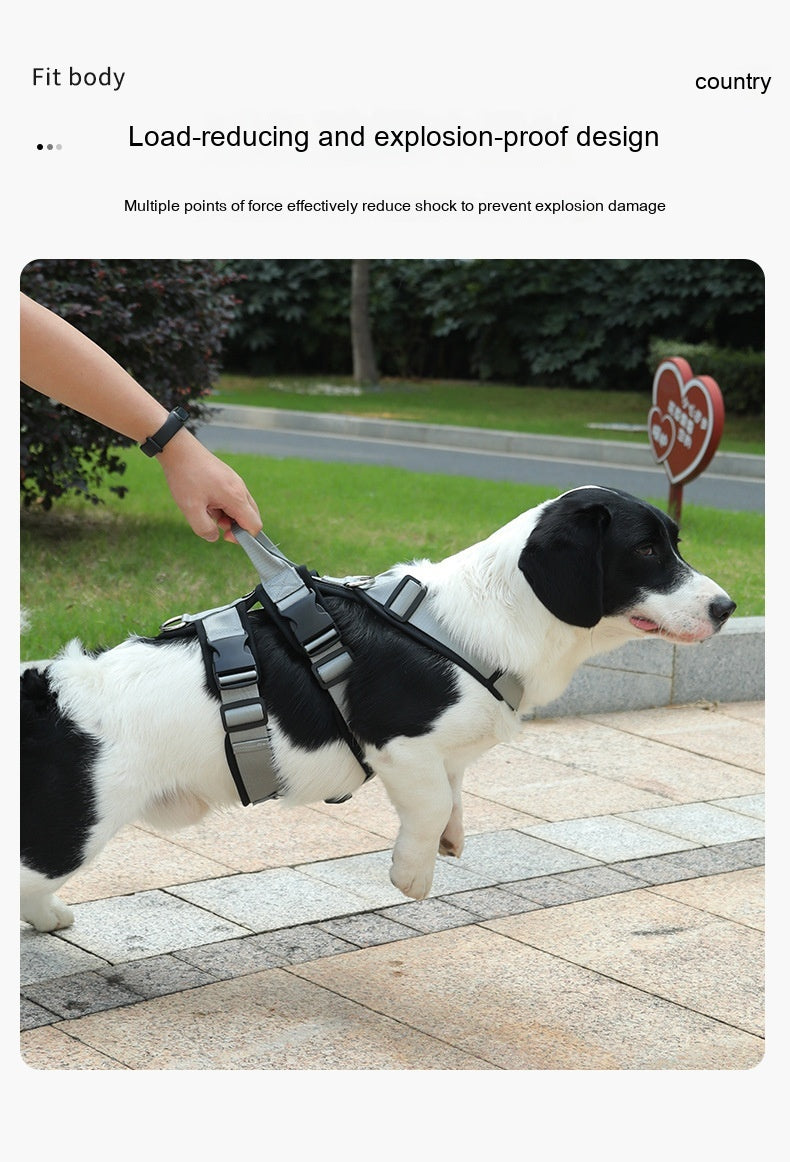 Brustgeschirr für mittelgroße und große Hunde, speziell für Corgis, inklusive Hundeleine