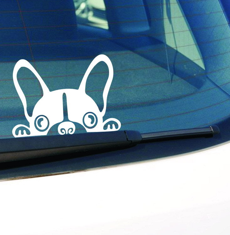 Autoaufkleber Französische Bulldogge
