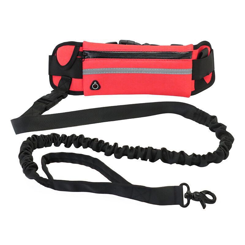Trela de Bolsa para Passeio de Cão