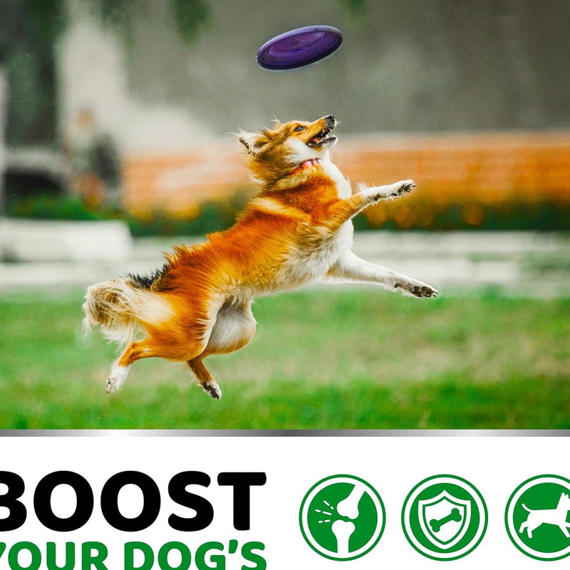 Pet Hip & Joint Supplement Chondroitin Soft Particles