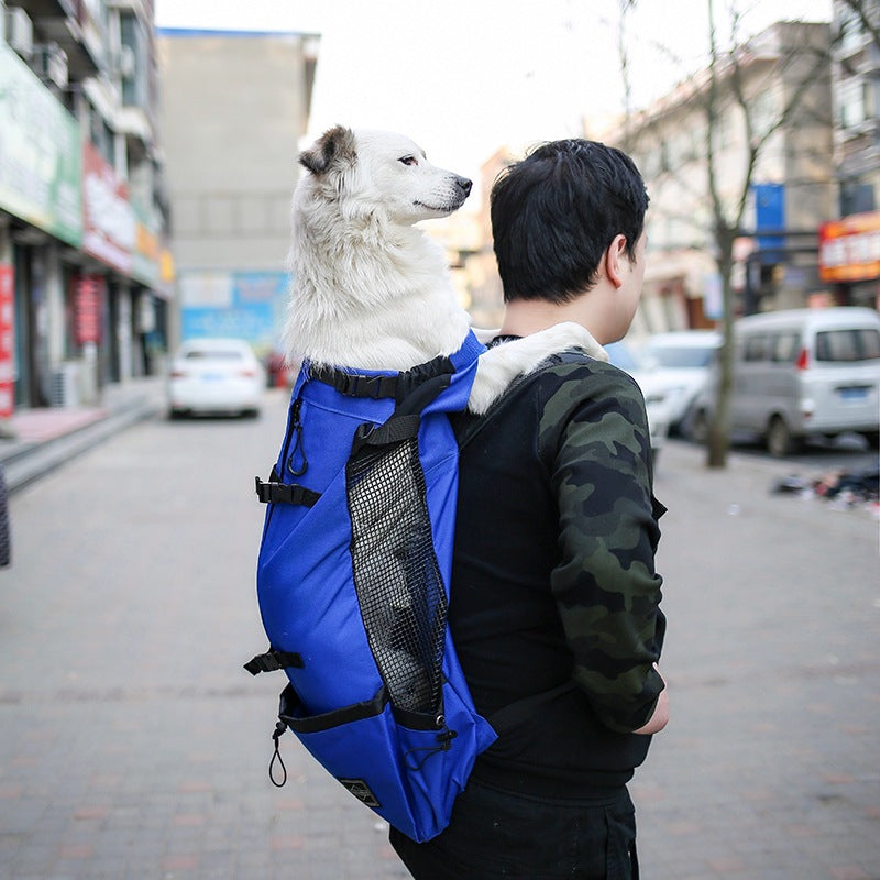 Mochila para animais de estimação exposta, ventilada, respirável e lavável