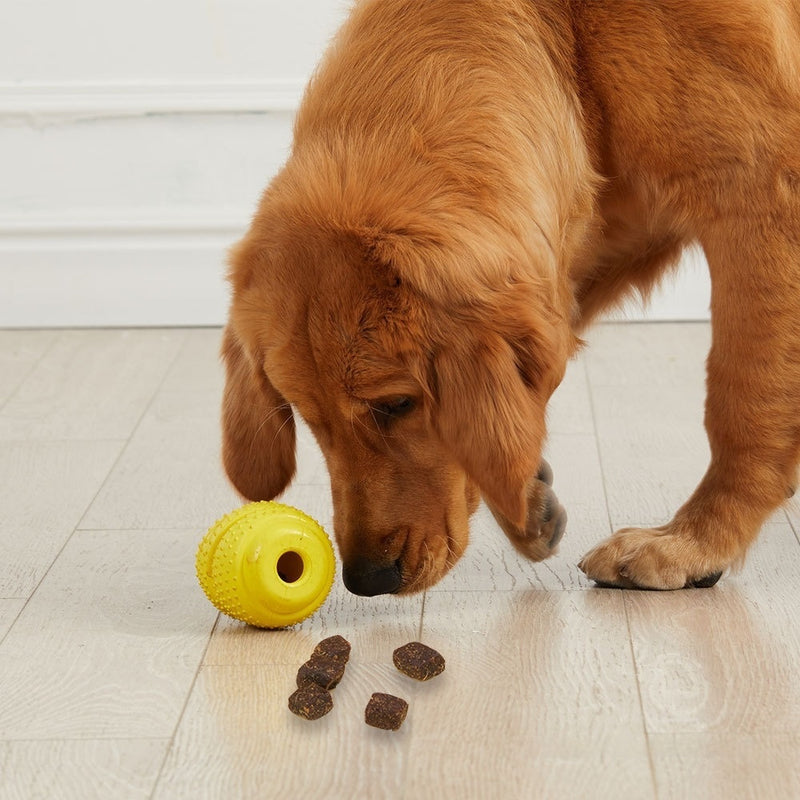 Futterspielzeug aus Gummi für Hunde