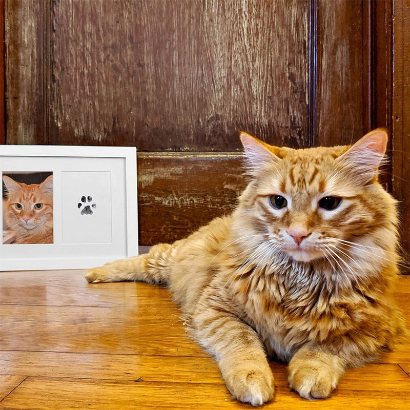 Álbum de fotos comemorativo para crianças e animais de estimação, cartão postal para esfregar impressões digitais, suprimentos para animais de estimação faça você mesmo