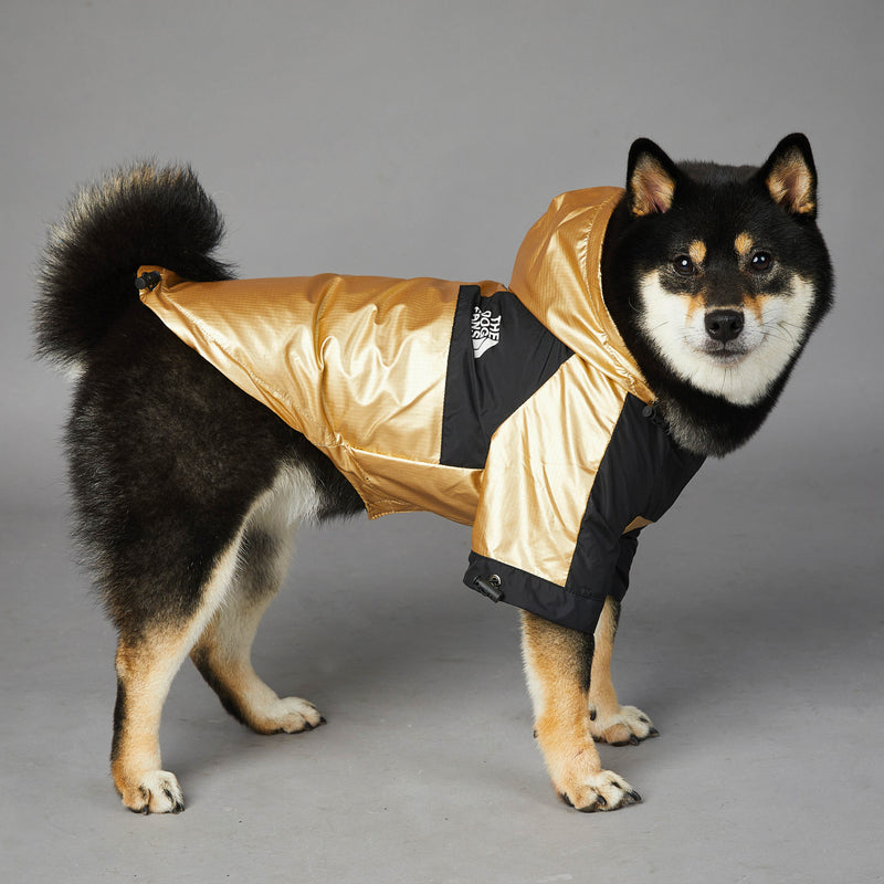 Capa de Chuva para Cão de Porte Grande Casaco para Animal de Estimação
