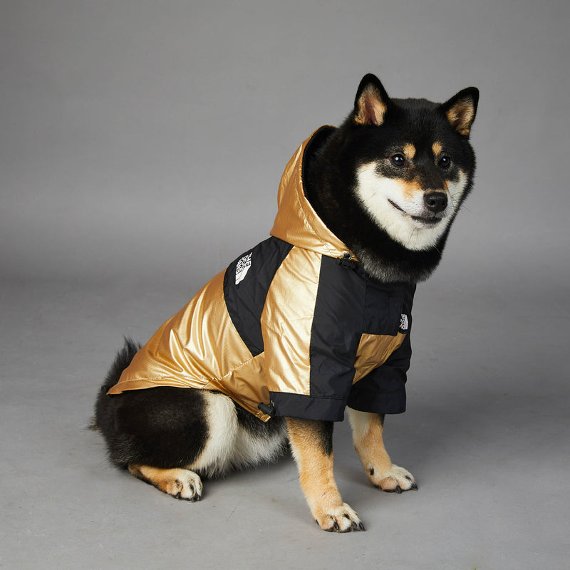 Capa de Chuva para Cão de Porte Grande Casaco para Animal de Estimação