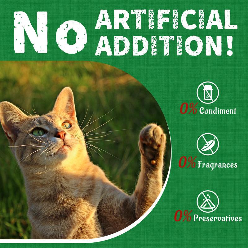 Petiscos para biscoitos de grama para gatos e suplementos para a saúde de animais de estimação