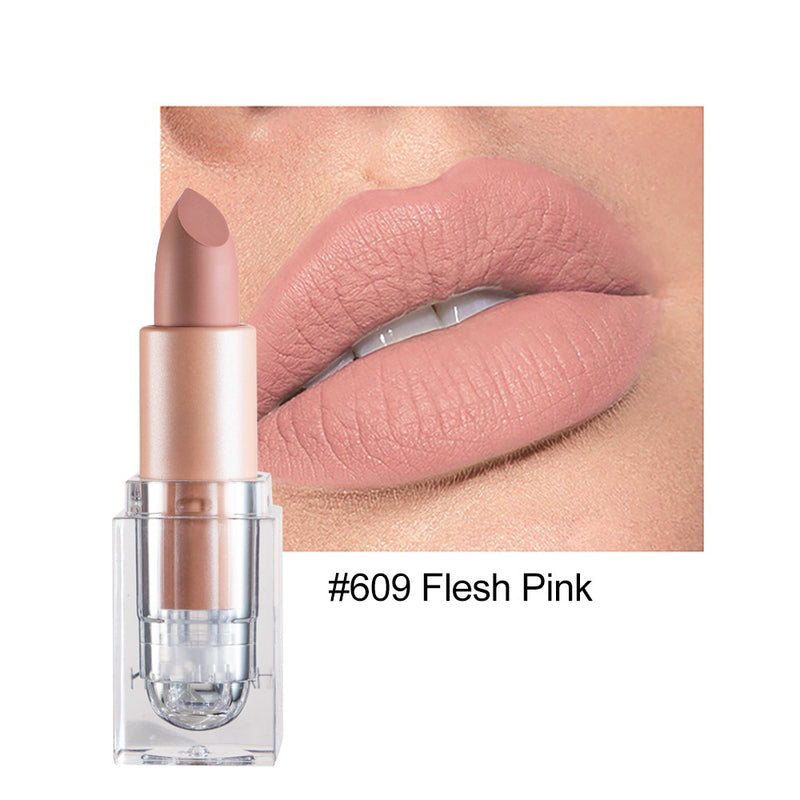 Kleiner Eiswürfel Matte 12-Farben-Lippenstift
