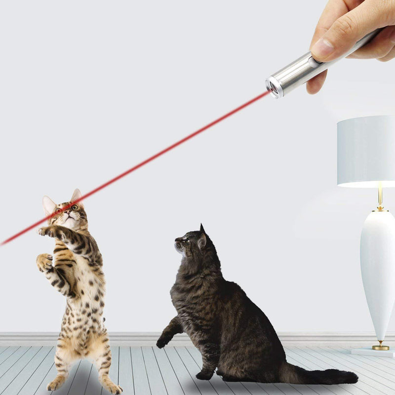 Apontador laser para gatos