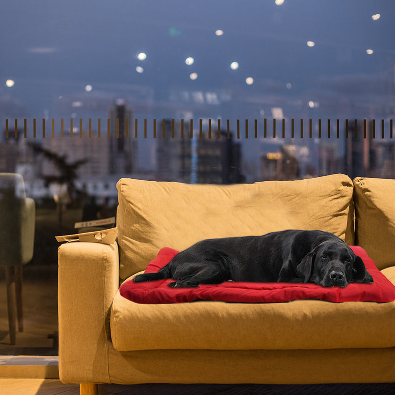 Zusammenklappbares, aufrollbares Hundekissen-Sofa