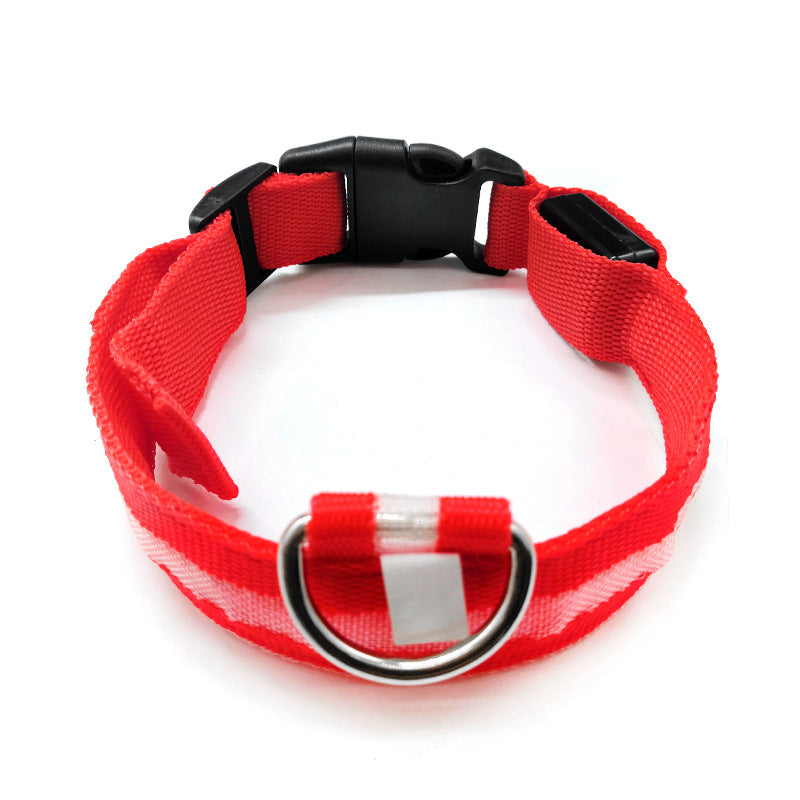 Leuchtendes Anti-Verlust-Hundemarken-Halsband