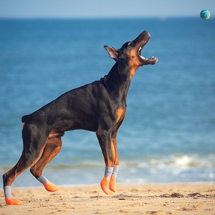 Pet Outdoor Sports Shoes With Anti Slip Biomimetic Stripes