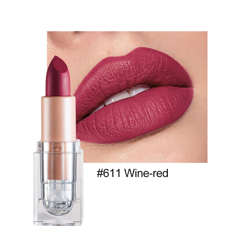 Kleiner Eiswürfel Matte 12-Farben-Lippenstift