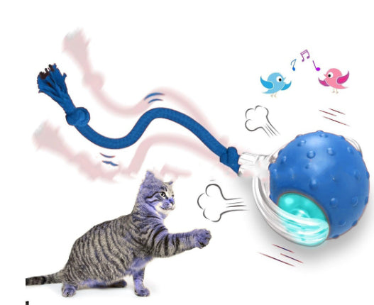 Interactive Cat Toy Ball Super Drive Cat Rolling Balls With