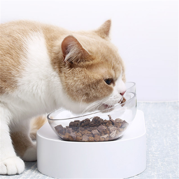 Verstellbarer Katzennapf