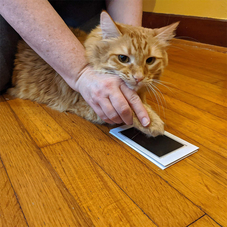 Álbum de fotos comemorativo para crianças e animais de estimação, cartão postal para esfregar impressões digitais, suprimentos para animais de estimação faça você mesmo
