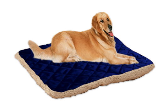 Pet ice silk cushion