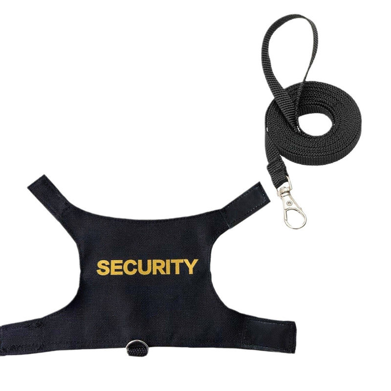 Lizard Leash Reptile Outdoor Chest And Back Harness