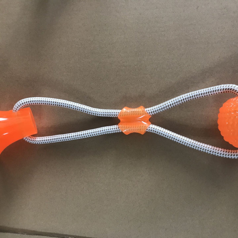 Brinquedo de molares com ventosa de borracha para cães