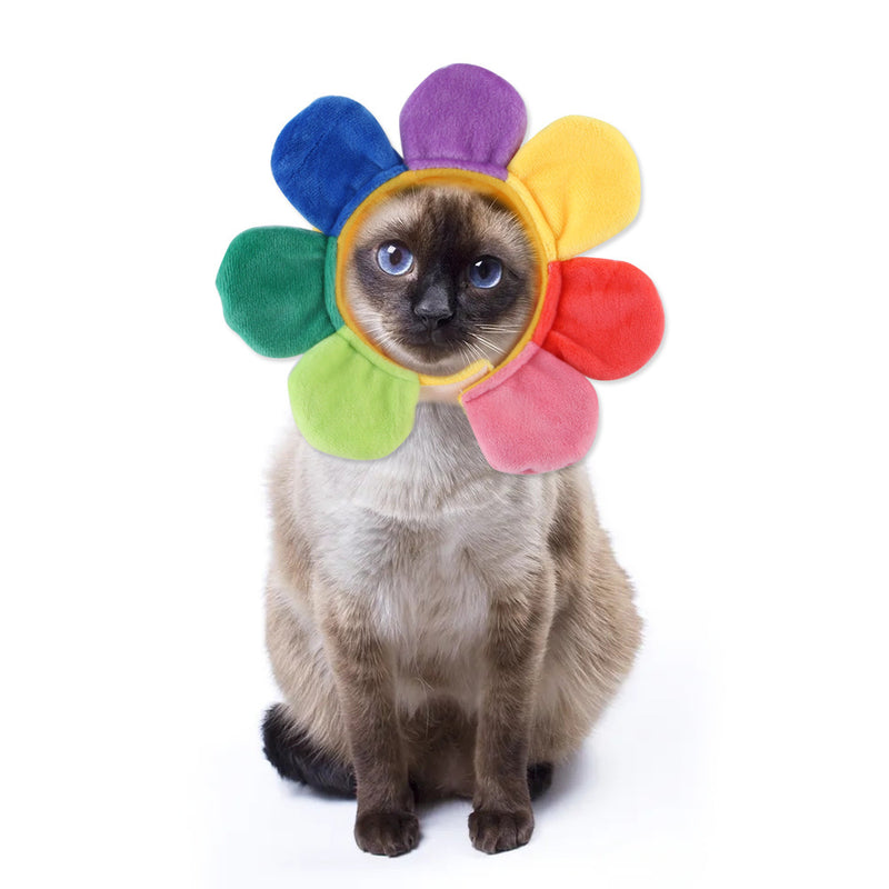 Divertido disfarce de cão e gato, gorro quente, adereço para fotos, acessório de cabeça