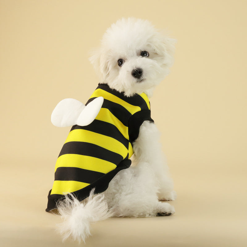 Roupa de Velo para Cão Pequeno ou Médio Frog Dog Artigos para Animais