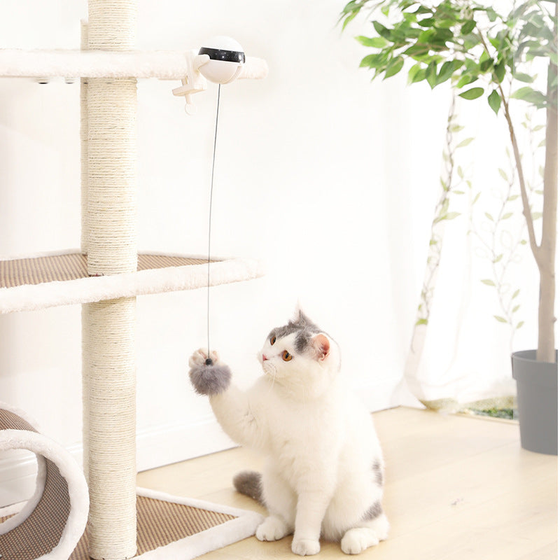 Elektrisches, interaktives und automatisch anhebendes Katzenspielzeug mit Ball