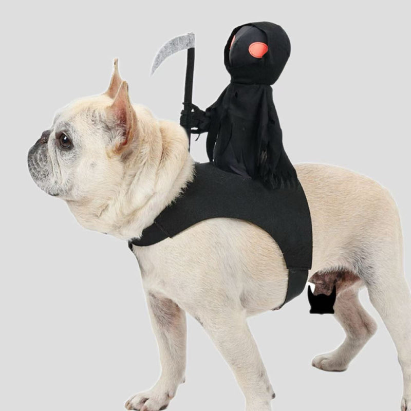 Pet Knight Harvest Funny Cute Riding Outfit