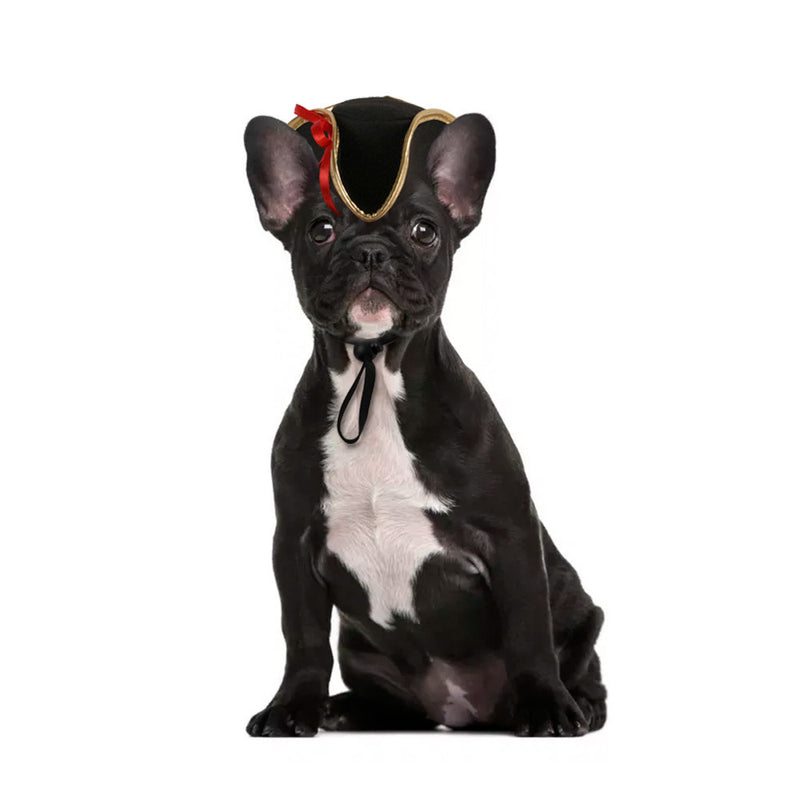 Divertido disfarce de cão e gato, gorro quente, adereço para fotos, acessório de cabeça