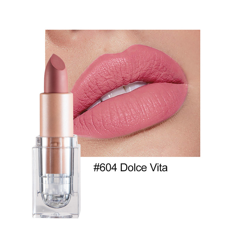 Kleiner Eiswürfel Matte 12-Farben-Lippenstift